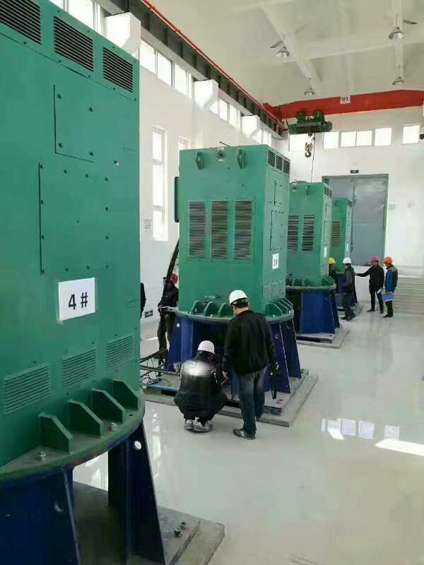 津市某污水处理厂使用我厂的立式高压电机安装现场安装尺寸